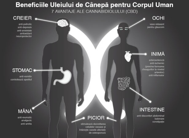 infografic_canepa.png