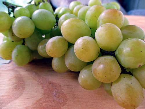 Cotton-Candy-Grapes-Up-Close.jpg