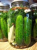 The Hirshon Authentic Jewish Half-Sour Dill Pickles – זויערע ...