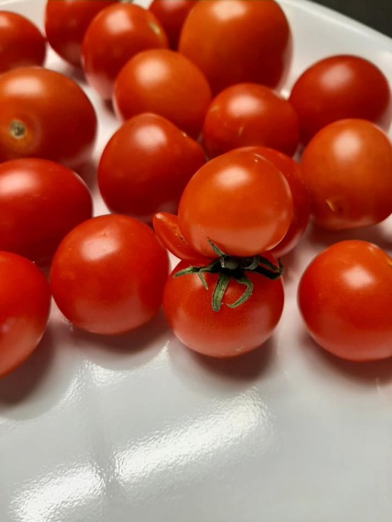 May be an image of tomato and indoor