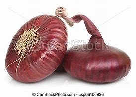 Image result for flat small white onions