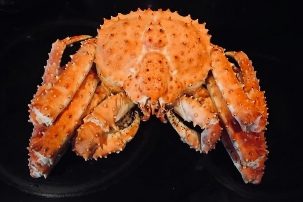 Alaskan King Crab (Whole Crab)