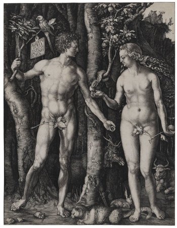 Albrecht Dürer, Adam and Eve