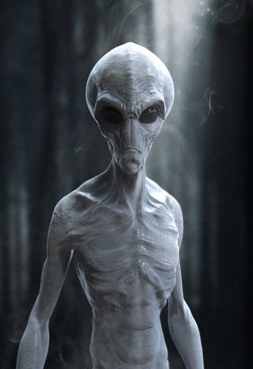 ArtStation - Grey Alien - 3D Model, Jack Nesbit (With images ...