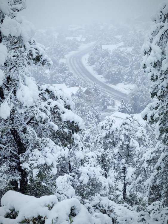 What a wintery sight from Rumsey Park in Payson!