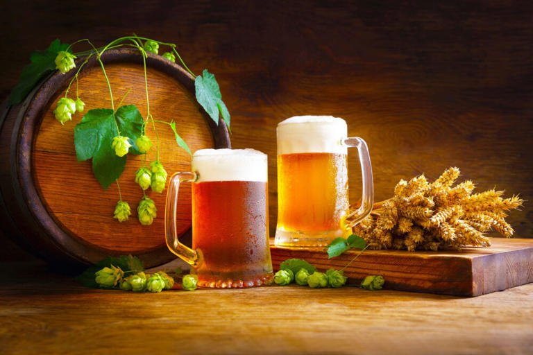 Beer may be better for your gut than probiotics 
