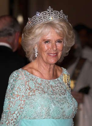 Camilla, Duchess of Cornwall wearing a dress