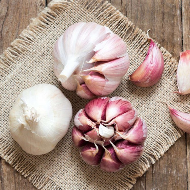 This is important because the degenerative diseases that many Americans are dying from, including heart disease, diabetes, cancer, obesity, and more, are all driven by inflammation. Garlic acts to reduce inflammatory proteins, and as such, can help ward off aches and pains in the body, fight depression and sadness, and even help combat brain fog.
