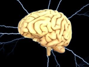 Descoperirea momentului. Cercetătorii români au identificat care zone ale creierului au legătură cu dependența de alcool