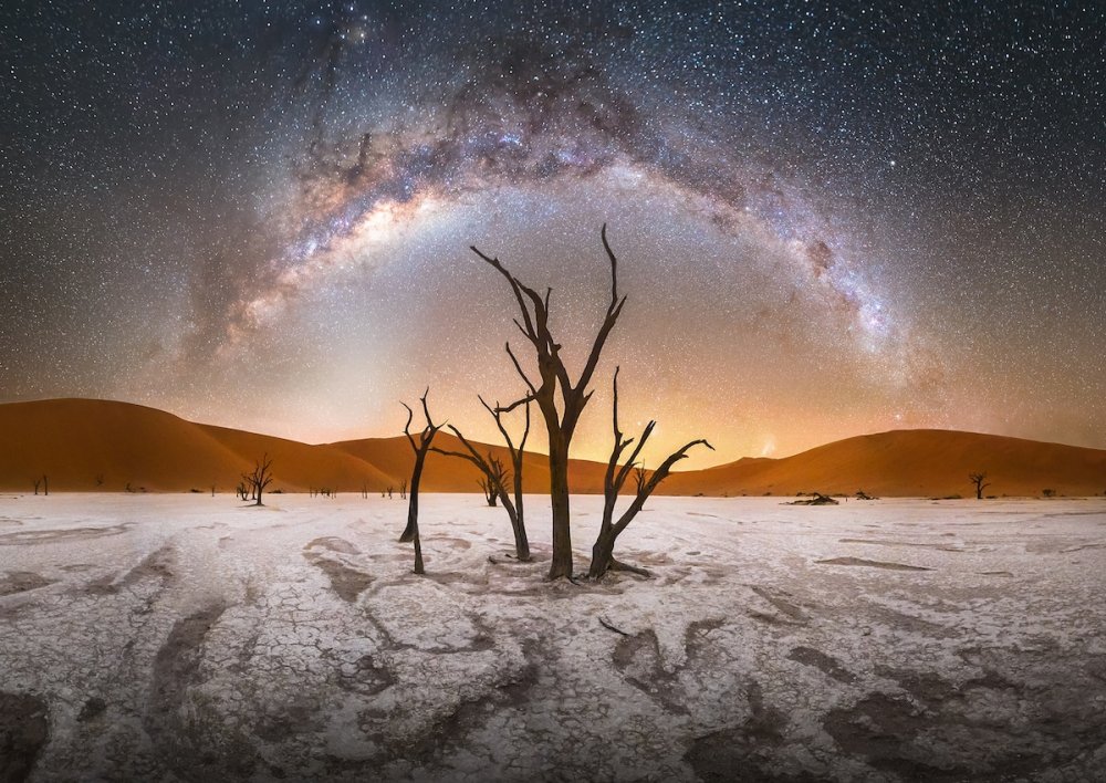 Milky Way Over Trees at the Namib-Naukluft National Park, Namibia