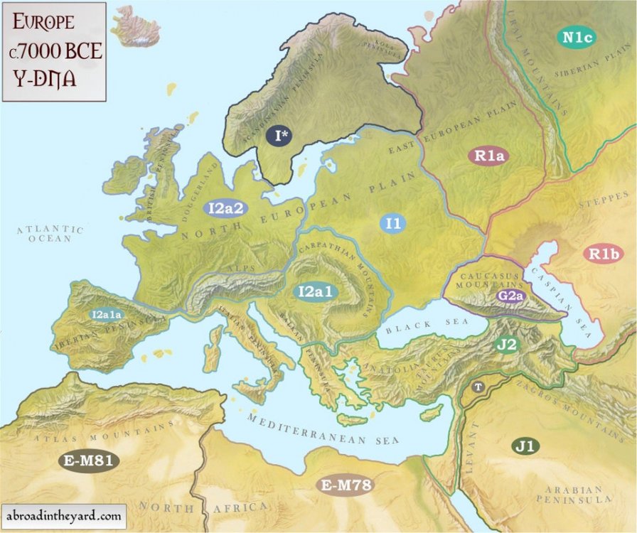 r/MapPorn - Y-DNA Map of Europe and Surrounding Areas in c.7000 BCE