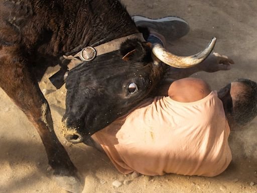 3 Maimed In Spain's Running Of The Bulls Die Within 24 Hours