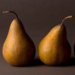 Pears5