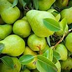 Pears2