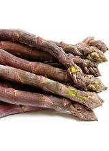 Purple Passion 10 Live Asparagus Bare Root Plants - Free Plant Boost Included! 2Yr-Crowns From Hand Picked Nursery