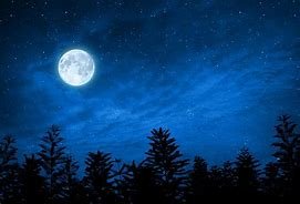Image result for blue moon pictures please!