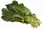 Collard Greens for Dogs by the Canine Nutritionist | The Canine Nutritionist