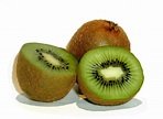 kiwi fruit 1 Free Photo Download | FreeImages