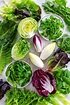 20 Types of Lettuce and Other Leafy Greens - Jessica Gavin