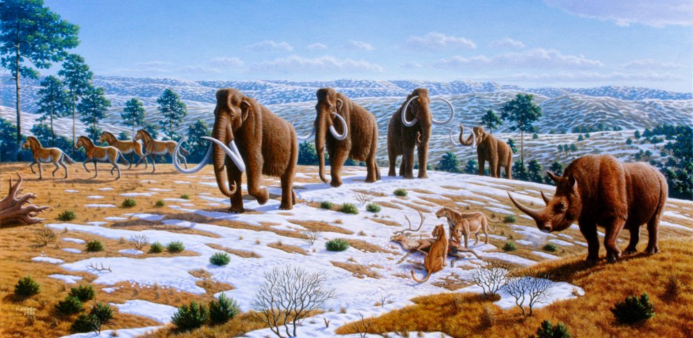 Pleistocene megafauna - Wikipedia