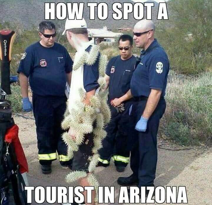 Tourist-in-Arizona.jpg