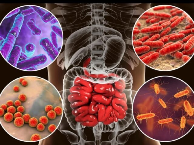 bacterii-intestinale-640x480.jpg