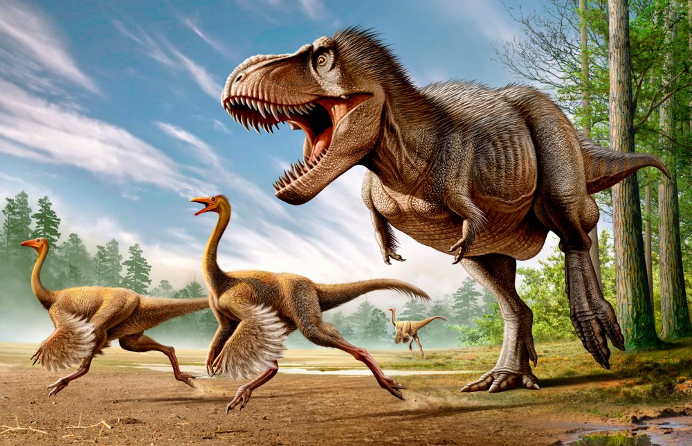 Paleontologists Report World's Biggest Tyrannosaurus Rex Found ...