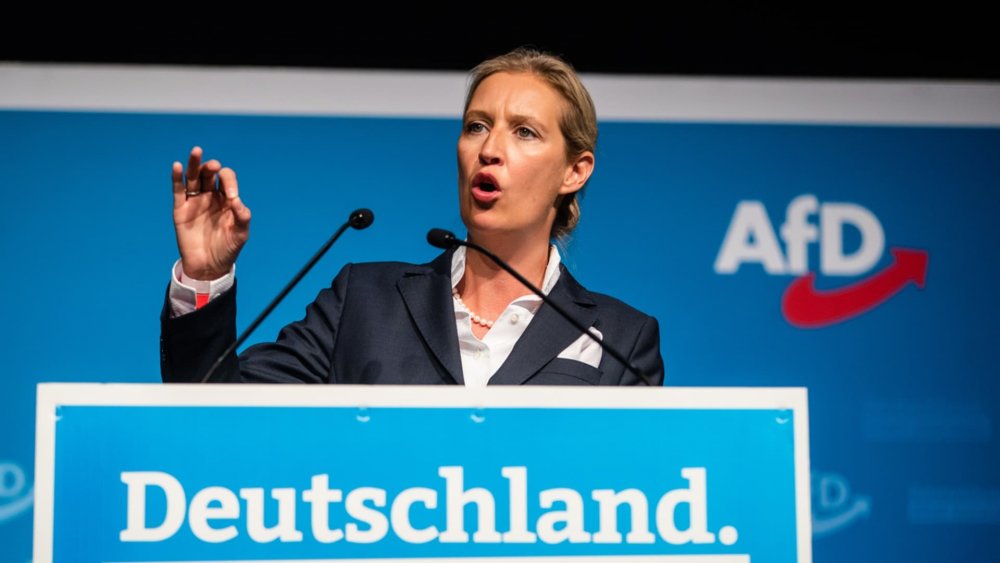 Legal proceedings dropped against AFD&#39;s Alice Weidel over alleged donations  - SWI swissinfo.ch