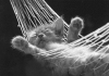 post-1519-1111416399_thumb.png