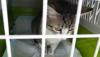 post-411328-0-51899600-1429704076_thumb.jpg