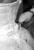 post-83793-1181048129_thumb.jpg