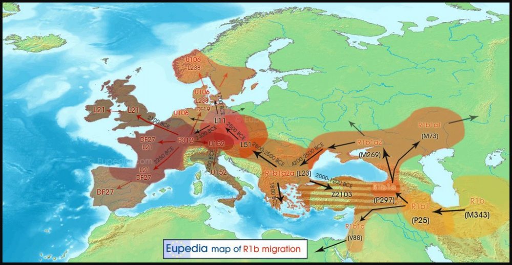 R1b-migration-map.thumb.jpg.55691fbc91d2758e77fdc31e3b9234c6.jpg