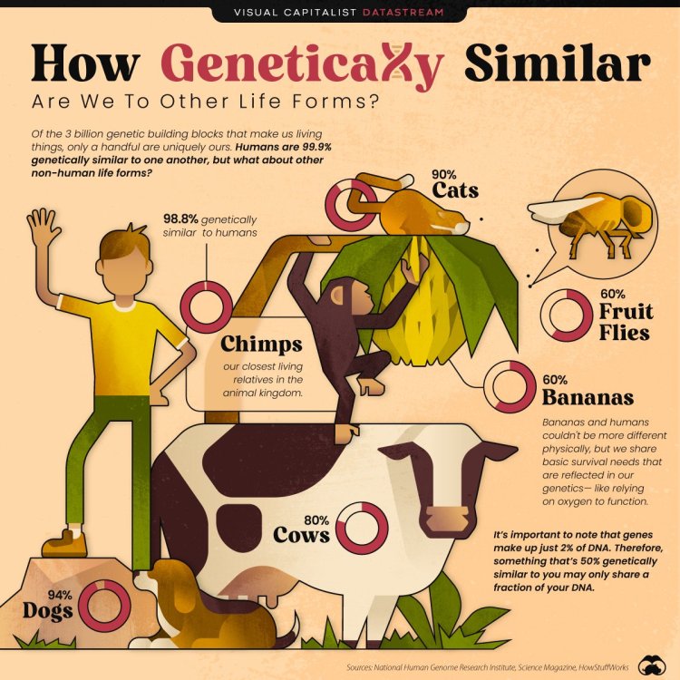 aGenetic-Similarities-MAIN-03.jpg