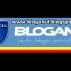 Bloganul