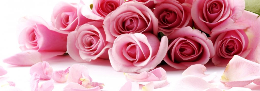 Vanzari engros de flori taiate in Timisoara