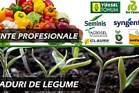 Producem si comercializam rasaduri de legume!