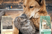 Distribuitor hrana animale - Carpathians Pet Food