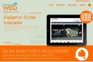 Programator web