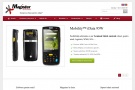 Magister