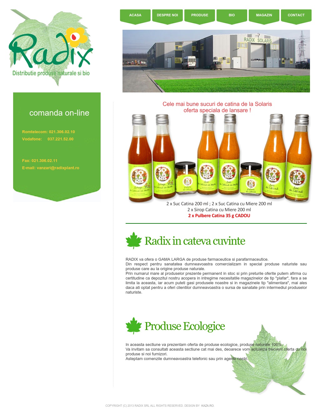 Radixplant