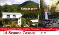 14 Scaune