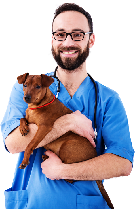 Cabinet Veterinar Iasi