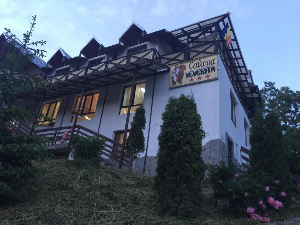 Cabana Veverita