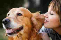 Cabinet Veterinar Valeni