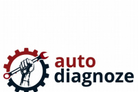 Auto diagnoze