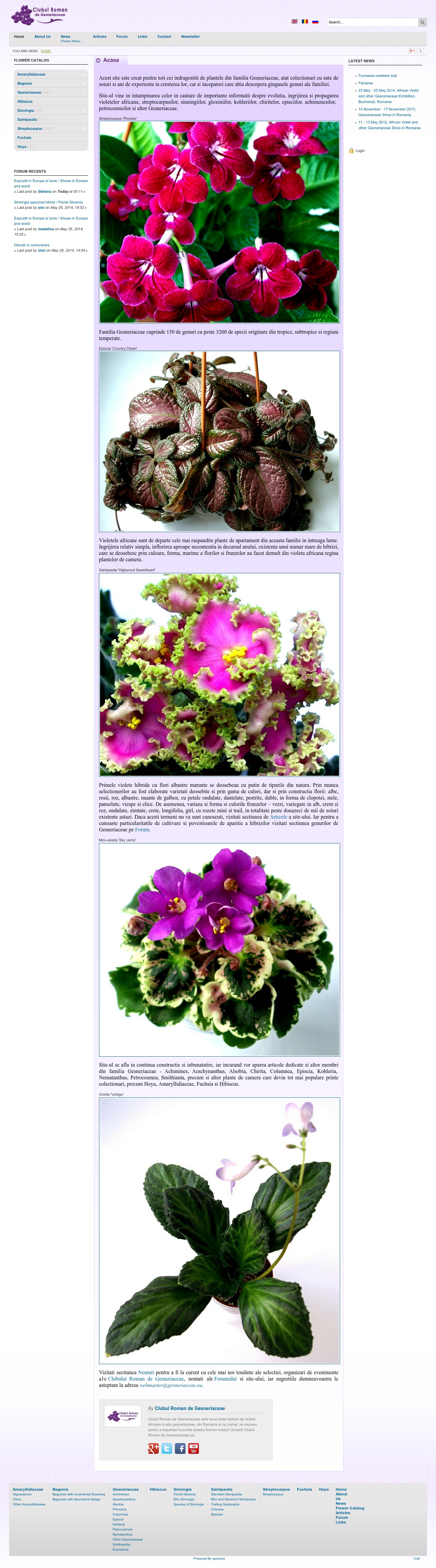 Gesneriaceae