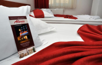 Hotel Alexis Cluj