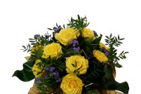 Felice Shop