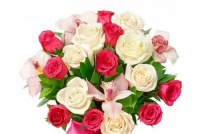 Florarie Braila