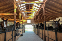 TSH Stables